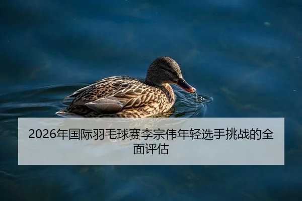 2026年国际羽毛球赛李宗伟年轻选手挑战的全面评估