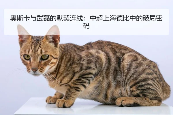 ao-si-ka-yu-wu-lei-de-mo-qi-lian-xian-zhong-chao-shang-hai-de-bi-zhong-de-po-ju-mi-ma-2-579.jpg