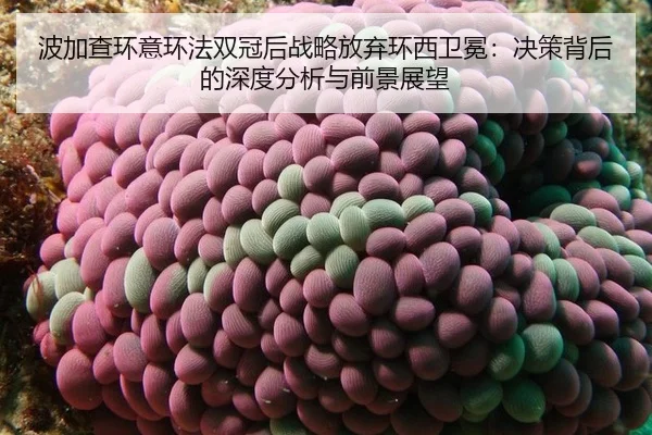bo-jia-cha-huan-yi-huan-fa-shuang-guan-hou-zhan-lve-fang-qi-huan-xi-wei-mian-jue-ce-bei-hou-de-shen-du-fen-xi-yu-qian-2-945.jpg