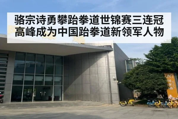 骆宗诗勇攀跆拳道世锦赛三连冠高峰成为中国跆拳道新领军人物